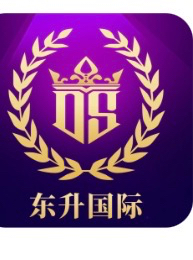 东升国际